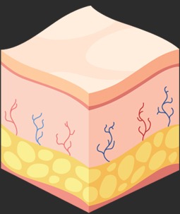 step 4 image